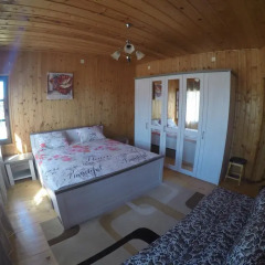 Отель Alex Guest House Номер Комфорт с различными типами кроватей