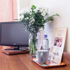 Гостиница Дубки 3* Стандартный номер разные типы кроватей фото 17