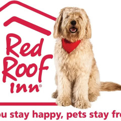 Отель Red Roof Inn PLUS+ Columbus-Ohio State University OSU 2* Стандартный номер с различными типами кроватей фото 5