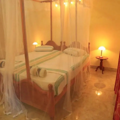 Отель La Safari Inn Tissamaharama 3* Номер Делюкс с различными типами кроватей фото 2