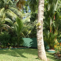 Отель Lanka Rose Guest House Шри-Ланка, Берувела - отзывы, цены и фото номеров - забронировать отель Lanka Rose Guest House онлайн фото 6