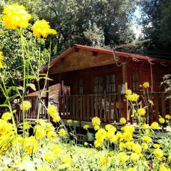 Отель Country Club Primi Faggi Санто-Стефано-ин-Аспромонте фото 12