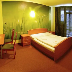 Hotel Liberec Либерец спа фото 2
