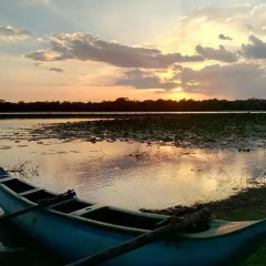 Отель The Yala Adventure 3* Стандартный номер с различными типами кроватей фото 10