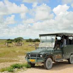Отель Etosha Village городской автобус