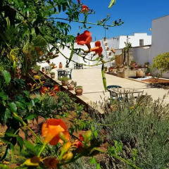 Отель B&B Masseria San Dana Гальяно дель Капо фото 17
