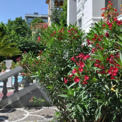 Отель Esedra Hotel Италия, Римини - 4 отзыва об отеле, цены и фото номеров - забронировать отель Esedra Hotel онлайн фото 7
