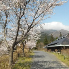 Отель Yufuin Ryokan Baien Хидзи приотельная территория