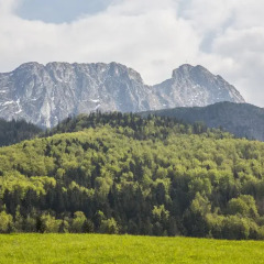 Отель Udanypobyt Domki Poezja Закопане фото 4