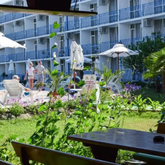 Отель Balaton Hotel Болгария, Солнечный берег - 1 отзыв об отеле, цены и фото номеров - забронировать отель Balaton Hotel онлайн помещение для мероприятий