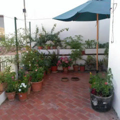 Hotel Nou Casablanca