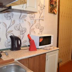 Гостиница Guest House near the Lanzheron Beach удобства в номере