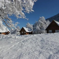 Отель Chile Wild - Las Vertientes Бунгало с различными типами кроватей фото 10