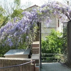 Отель Al Pergolesi B&B Джези фото 2