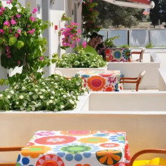 Vela Garden Resort Турция, Чешме - отзывы, цены и фото номеров - забронировать отель Vela Garden Resort онлайн фото 13