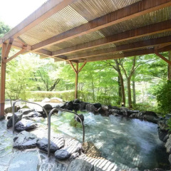 Hotel Harvest Kinugawa Никко бассейн