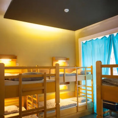 Treestyle Hostel Кровать в общем номере фото 7