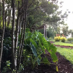Отель Quinta da Faia Португалия, Орта - отзывы, цены и фото номеров - забронировать отель Quinta da Faia онлайн фото 12