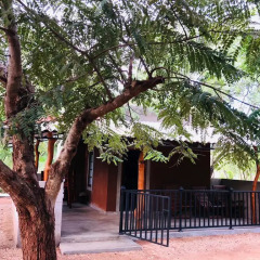 Отель The Summer Corridor - Kataragama детские мероприятия