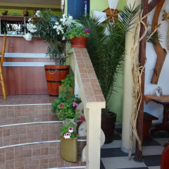Отель Guest House Rosa