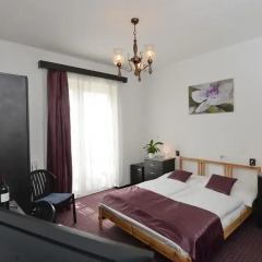 Budai Hotel 3* Стандартный номер с различными типами кроватей фото 13