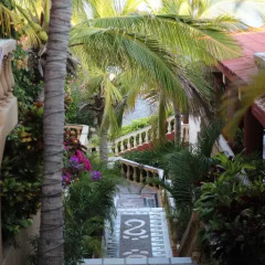 Отель Marbella Suites en la Playa Мексика, Сан-Хосе-дель-Кабо - отзывы, цены и фото номеров - забронировать отель Marbella Suites en la Playa онлайн фото 3