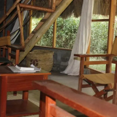 Отель Oasis Eco Camp комната для гостей фото 2