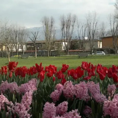 Otantik Club Hotel Турция, Бурса - отзывы, цены и фото номеров - забронировать отель Otantik Club Hotel онлайн фото 7