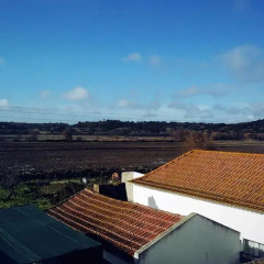 Отель Hospedaria Santo Estêvão