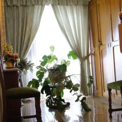 Отель Hostal Pirineos Meliz