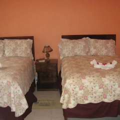 Executive Mammee Bay Hotel 3* Стандартный номер с 2 отдельными кроватями