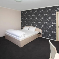 Family Hotel Diana Стандартный номер с различными типами кроватей фото 6