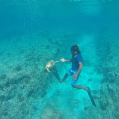 Отель Seashine Maldives Guest House пляж фото 2