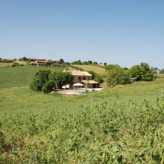 Отель Profumo delle Marche Монтефано