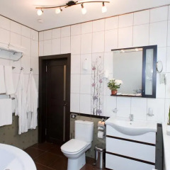 Гостиница Парк Дракино 3* Номер Делюкс с различными типами кроватей фото 12