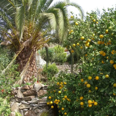 Отель Finca Tomás y Puri фото 4