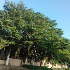 Suma Court Hotel фото 5
