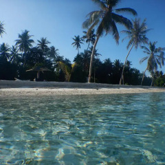 Отель Beach Heaven Maldives пляж