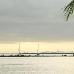 Отель Tanoa Waterfront Hotel Фиджи, Вити-Леву - отзывы, цены и фото номеров - забронировать отель Tanoa Waterfront Hotel онлайн приотельная территория
