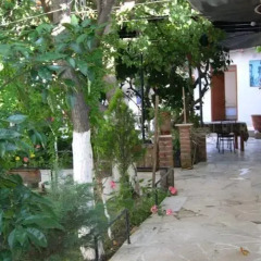 Girgin Artemis Pension Турция, Сельчук - отзывы, цены и фото номеров - забронировать отель Girgin Artemis Pension онлайн фото 4