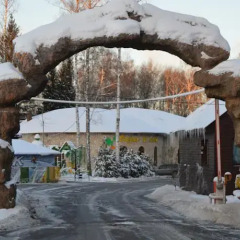 Гостиница Оазис в Лесу фото 17