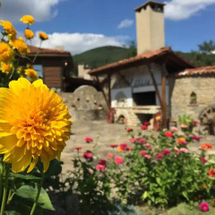 Отель Guesthouse Imalo Edno Vreme