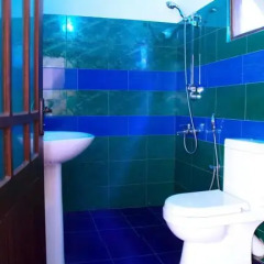 The Hotel Romano- Negombo Номер Делюкс с различными типами кроватей фото 17
