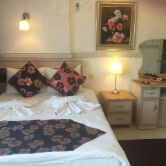 Antik Sofia Hotel Турция, Стамбул - 1 отзыв об отеле, цены и фото номеров - забронировать отель Antik Sofia Hotel онлайн комната для гостей фото 4