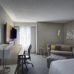 Отель Courtyard by Marriott New Orleans Downtown/Convention Center США, Новый Орлеан - отзывы, цены и фото номеров - забронировать отель Courtyard by Marriott New Orleans Downtown/Convention Center онлайн комната для гостей фото 6