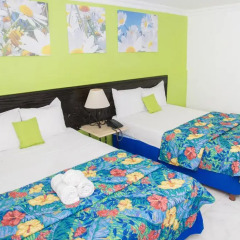 Hotel El Cid Merida 3* Стандартный номер с различными типами кроватей фото 3