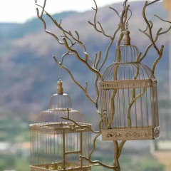 Отель Casa de Quintã Португалия, Синфайнш - отзывы, цены и фото номеров - забронировать отель Casa de Quintã онлайн фото 15