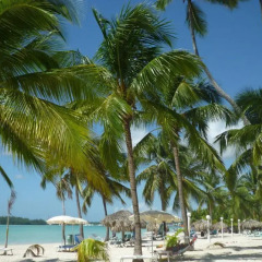 Отель Parco del Caribe пляж