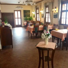 Hotel Zlaty Lev 4* Люкс фото 10