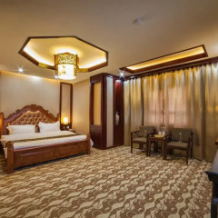 Hotel Shanghai City Представительский люкс с различными типами кроватей фото 6
